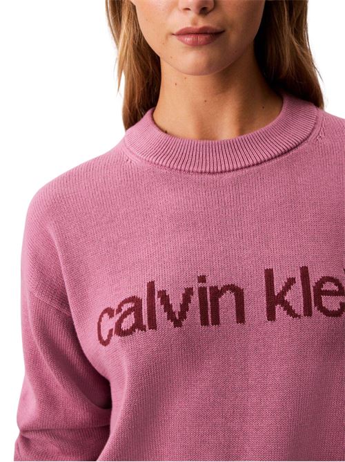 Pullover in cotone con logo Calvin Klein Jeans | LV047C311G4K4